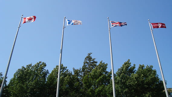 Flaggen, Fahnenmasten, geblasen, Wind, Flagge, Himmel, Patriotismus, Natur, Baum, Pflanze, Flachwinkelansicht, Blau, keine Leute, Pole, Umgebung, Tag, klarer Himmel, sonnig, in einer Reihe, draußen, 2K, CC0, gemeinfrei, lizenzfrei
