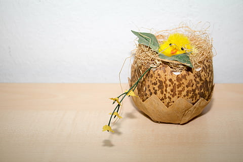 påske, kyllinger, kylling, æg, farverig, forår, rede, påskeæg, påske tema, sød, nuttet, påske reden, gul, kurv, dekoration, dyre rede, fugl, træ - materiale, fest, bord, indendørs, stilleben, ingen mennesker, friskhed, mad, mad og drikke, tæt på, plante, natur, murbygningsfunktion, kopiere plads, dyreæg, blomst, sårbarhed, 5K, CC0, offentligt domæne, royaltyfrie