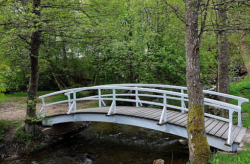 vuoto, sposa, circonda, alberi, ponte, vecchio ponte, ponti, foglia, le foglie, foglia verde, natura, erba, albero, pianta, foresta, connessione, passerella, ponte - struttura fatta dall'uomo, crescita, nessuno, la tranquillità, acqua, struttura costruita, terra, tronco, scena non urbana, tronco d'albero, colore verde, architettura, bosco, all'aperto, 4K, CC0, dominio pubblico, privo di copyright