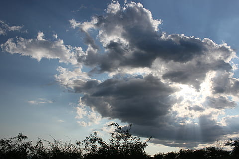 nuvole, luce oscura, raggi di luce, blu, luminosa, buio, luce, raggi, cielo, sole, natura, estate, nuvola - cielo, Cloudscape, Paesaggi, tempo metereologico, albero, bellezza nella natura, pianta, la tranquillità, scenics - natura, Inquadratura dal basso, scena tranquilla, nessuno, giorno, all'aperto, luce del sole, scena non urbana, idilliaco, cima dell'albero, Colore bianco, 4K, CC0, dominio pubblico, privo di copyright