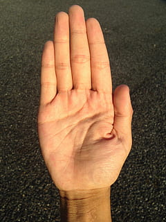 Palm, Hand, Finger, Bleaching, palm reading, young, japanese, people, body, parts, health, blood vessel, fortune-telling, right hand, fingerprint, joint, tease, skin, hand care, equality, beauty, moisture retention, drying, flesh color, wrist, rough hand, lifeline, marriage lines, good luck with money, good luck, with your bare hands, care, bright, compact, ideal, a healthy, destiny, life, happy, pot, massage, fatigue, comfort, healing, heal, temomi, power, horoscope, reincarnation, previous life, religion, buddhism, sociology, gender, discrimination, absent, society, praise, strong, tsuyoun, lucky, unlucky, efficiency, energy, salon, este, marriage, women, male, man, woman, loneliness, single, fortune, message, list, write, memo, billboard, representation, screen, synthesis, while, get, inn, my, images, mirror, reflection, medical care, medicine, hospital, surgery, sick, clinic, human hand, human body part, stop gesture, communication, body part, one person, human finger, close-up, real people, unrecognizable person, personal perspective, gesturing, high angle view, hand sign, showing, day, men, indoors, obscured face, 2K, CC0, public domain, royalty free