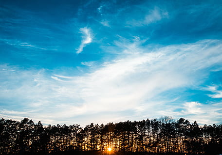 nimetön, siluetti, Puut, valkoinen, pilviä, sininen, taivas, auringonlasku, auringonpaiste, varjot, luonto, ulkona, pilvi - taivas, puu, scenics, ei ihmisiä, päivä, maisema, kasvi, kauneus luonnossa, maisemat - luonto, tyyneys, rauhallinen kohtaus, dramaattinen taivas, metsä, kasvu, ympäristö, ei-kaupunkikuvia, auringonvalo, tumma, puunlatva, mänty, 5K, CC0, public domain, rojaltivapaa