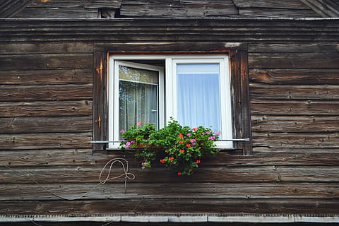 Vetrata semiaperta, rosa, fiori petalo, Marrone, bianca, di legno, incorniciato, finestra di vetro, finestra, parete, vecchio, decorazione, pianta, pentola, fiore, natura, legna, architettura, Aperto, costruzione, tavola, pianta fiorita, legno - materiale, struttura costruita, esterno dell'edificio, Casa, nessuno, giorno, all'aperto, quartiere residenziale, vetro - materiale, porta, chiuso, caratteristica della parete, Cottage, telaio della finestra, vaso di fiori, 4K, CC0, dominio pubblico, privo di copyright
