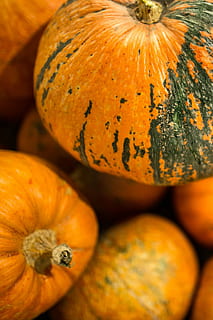 labu, kayu, kotak, close-up, kotak kayu, Jeruk, merapatkan, sayur-mayur, musim gugur, warna oranye, musim, alam, pertanian, halloween, makanan, ucapan syukur, tanah pertanian, kesegaran, dekorasi, matang, labu - sayur, makanan dan minuman, kesejahteraan, makan sehat, tidak ada orang, masih hidup, fokus selektif, pasar, makanan mentah, organik, latar belakang, 2K, CC0, domain publik, bebas royalti