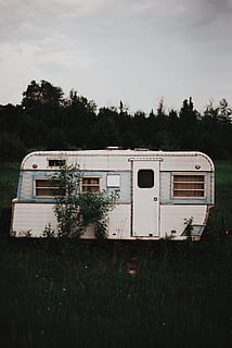 hvid, rv trailer, græsfelt, træer, overskyet, himmel, grå, blå, rejse trailer, Skov, campingvogn, statisk, trailer hjem, autocamper, Camping, ferier, rejse, udendørs, rejse steder, køretøj trailer, træ, ingen mennesker, transportmidler, dag, plante, natur, græs, transportform, jord, Mark, offentlig transport, tog, land køretøj, jernbanetransport, forældet, vækst, tog - køretøj, 5K, CC0, offentligt domæne, royaltyfrie
