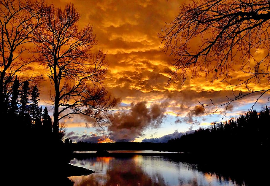 auringonlasku, maisema, iltahämärä, kesä, taivas, värit, ilta, luonto, Puut, järvi, Québec, puu, heijastus, syksy, scenics, vesi, ulkona, rauhallinen kohtaus, oranssi väri, kauneus luonnossa, hämärä, metsä, värikuva, auringonvalo, ei ihmisiä, siluetti, maisemat - luonto, kasvi, tyyneys, pilvi - taivas, idyllinen, ei-kaupunkikuvia, saastuminen, 5K