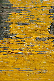 groc, pintura, rústic, escates, descamació, fusta, color, colorit, fons, marc complet, textura, cap gent, material de fusta, primer pla, patró, resistent, vell, dia, enfocament selectiu, a l'aire lliure, espatllat, vista d’angle alt, macro, resum, arquitectura, liquen, 2K, CC0, domini públic, lliure de regalies