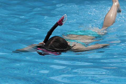 person, using, black, red, snorkel, Pool, Swimming, Diving, Mask, Water, diving, mask, swimming goggles, holidays, accessories, bathe, swim, vacations, heat, blue, swimming Pool, people, underwater, sport, one Person, women, swimwear, sports And Fitness, recreational Pursuit, one animal, animal themes, waterfront, lifestyles, nature, healthy lifestyle, exercising, real people, leisure activity, clothing, day, outdoors, 5K, CC0, public domain, royalty free