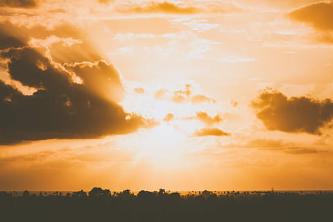 Foto, skyer, dækker, sol, silhuet, træer, orange, himmel, gylden, time, Sky, solnedgang, solopgang, horisont, San Diego, dag, Vestkysten, lyse, varm, glød, betagende, hvidt lys, sky - himmel, skønhed i naturen, scenics - natur, sollys, ro, miljø, natur, rolig scene, solstråle, landskab, dramatisk himmel, orange farve, ingen mennesker, idyllisk, træ, cloudscape, udendørs, 5K, CC0, offentligt domæne, royaltyfrie