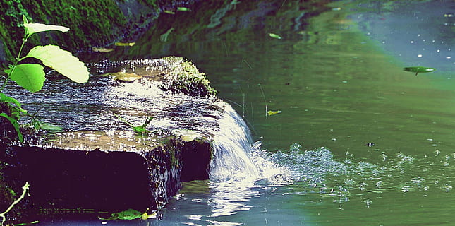 forêt, la source, eau, mouvement, longue exposition, front de mer, la nature, cascade, journée, personne, bois - matériau, Roche, solide, en plein air, rock - objet, beauté dans la nature, terre, plante, rivière, paysages - nature, la faune des animaux, écoulement, eau qui coule, 1080P, CC0, domaine public, libre de droits