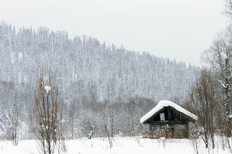 Casa, fienile, capanna, foresta, paesaggio, alberi, inverno, albero, foresta invernale, montagne, freddo, paesaggio invernale, ramo, sibilo, brina, pino, natura, Russia, strada forestale, la neve, freddo - temperatura, all'aperto, bosco, stagione, scena non urbana, Paesaggi, temperatura fredda, pianta, scenics - natura, bellezza nella natura, terra, scena tranquilla, nessuno, la tranquillità, giorno, architettura, copertura, nevicando, Colore bianco, tempo estremo, montagna innevata, albero di conifere, 4K