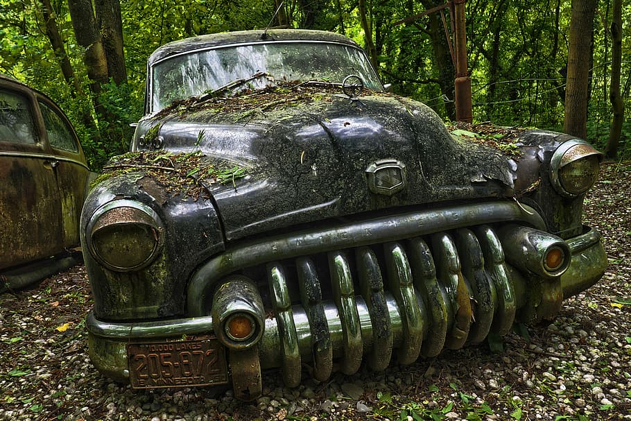 negre, vehicle, aparcat, verd, arbres, automàtic, cementiri del cotxe, oldtimer, vell, òxid, karre inoxidable, inoxidable, rovellat, nostàlgia, naufragis, ferralla, restes de cotxes, desballestament del cotxe, descartat, història, memòria, acabar, Apagat, decaïment, oblida't, cotxes antics, es va retirar, obsoleta, pkw, EUA, us-car, buick, buick huit, llocs perduts, pforphoto, trencat, humor, lloc perdut, descuidat, manera de transport, metall, cotxe, automòbil, dia, arbre, transport, vehicle terrestre, cap gent, planta, abandonat, terra, espatllat, bosc, naturalesa, militar, a l'aire lliure, deteriorament, roda, 4K
