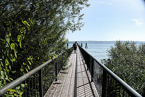 perspektyva, prieplauka, vanduo, žiniatinklyje, amersee, augalų, medis, pobūdį, turėklai, kryptis, architektūra, jūros, pastatyta struktūra, dieną, dangus, ryšį, pėsčiųjų takas, tiltas, vaizdai - gamta, saulės šviesa, kelias pirmyn, žemės, grožis gamtoje, horizontas virš vandens, lauke, tiltas - žmogaus sukurta struktūra, nėra žmonių, pėsčiųjų tiltas, mažėja perspektyva, 4K, CC0, Viešasis domenas, nemokamai
