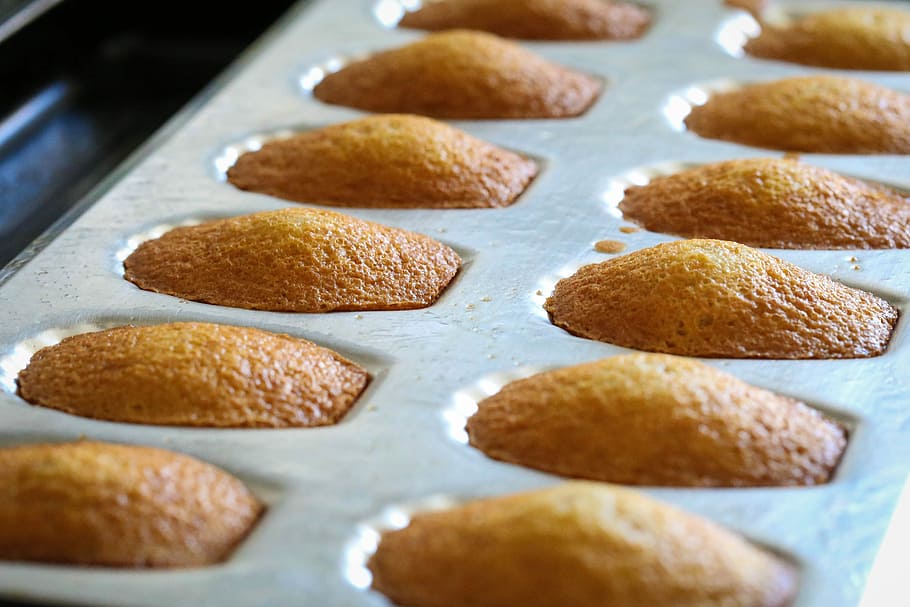cupcakes al forn, primer pla, fotografia, muffins, pastís, madeleine, esponja, cocció, safata, fila, menjar, restauració, cuinar, saborós, França, gateau, menjar i beguda, menjar dolç, frescor, a l'interior, al forn, cap gent, dolç, postres, enfocament selectiu, en fila, cookie, natura morta, marc complet, vista d’angle alt, celebració, indulgència, forma, xemeneia, 5K