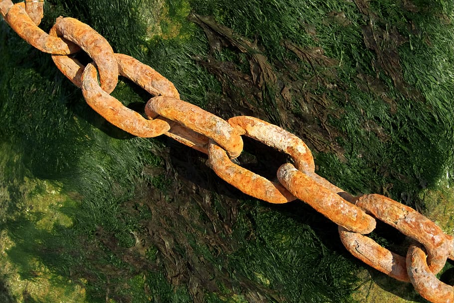 marró, cadena d’acer, verd, superfície, rovellat, cadena, enllaç, ferro, acer, vell, corrosió, marí, algues, connexió, moderació, mantingui, esquena, adversitat, presó, recuperar, pres, grilló, captivitat, servitud, bloqueig, dom, empresonar, taronja, òxid, esclavitud, restricció, empresonament, captiu, esclau, seguretat, força, debilitat, més feble, enllaçat, linkedin, metall, cap gent, naturalesa, planta, dia, a l'aire lliure, primer pla, arbre, color verd, tronc de l'arbre, terra, textura, tronc, branca, rèptil, vista d’angle alt, resistent, ferro - metall, 2K
