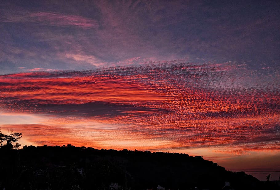 posta de sol, cielo, paisatge, naturalesa, vespre, color taronja, núvol - cel, cel, bellesa a la natura, escenics - natura, tranquil·litat, escena tranquil·la, silueta, cel dramàtic, cap gent, arbre, idíl·lic, medi ambient, planta, a l'aire lliure, cel romàntic, 5K