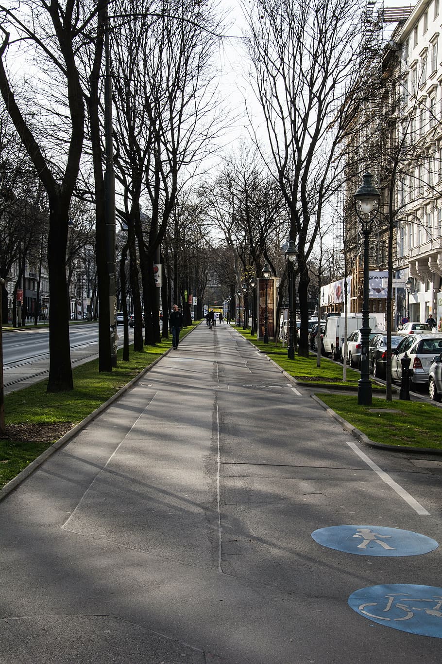 vej, baggrund, struktur, vejbygning, træ, transportmidler, vejen frem, bare træ, by, plante, retning, gade, transportform, motor køretøj, natur, bil, dag, skilt, land køretøj, tilfældige mennesker, arkitektur, mærkning, symbol, faldende perspektiv, treelined, udendørs, 5K