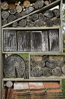 hnízdění, Pomoc, box, hmyz, pomoc vnoření, hnízdiště, hmyz hotel, hmyz dům, azyl pro hmyz, hmyz box, hibernace pomoc, opatření na ochranu proti hmyzu, perforovaný, Ochrana přírody, dřevo - materiál, nikdo, detail, celý rám, uvnitř, den, architektura, velká skupina objektů, stavba, kamenný materiál, police, řemeslo, okno, umění a řemesla, pevný, budova, venku, pozadí, vzor, Dějiny, antický, vyšperkovaný, 5K, CC0, veřejná doména, bez autorských práv