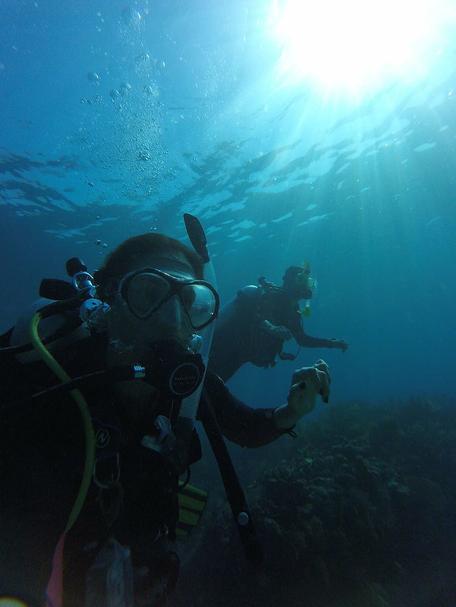 busseig, mar, bussejadors, cilindre, sistema dual, amic, casal, sota l'aigua, submarí, aventura, submarinisme, aigua, esport aquàtic, exploració, equip de busseig, nedar, esport, dues persones, naturalesa, activitat d'oci, persones reals, gent, homes, persona irreconeixible, busseig submarí, ulleres, 2K