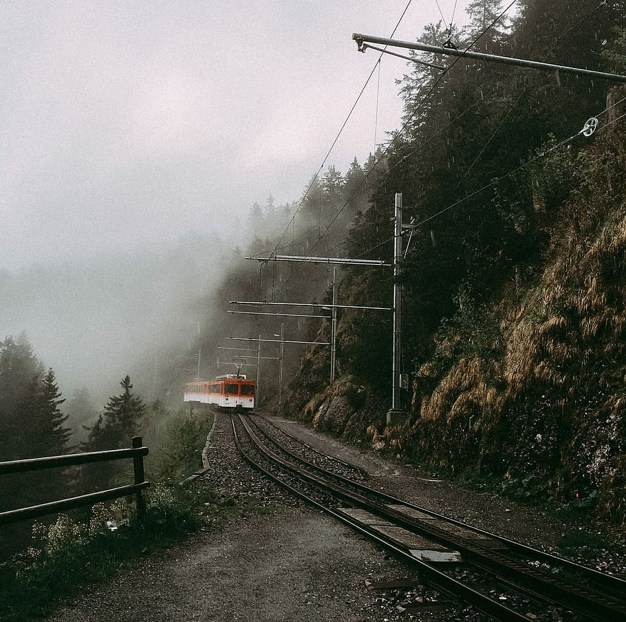vlak, pokryté, mlha, horská pastvina, rigi, dráha, přeprava, železniční dopravy, železniční trať, strom, způsob dopravy, veřejná doprava, rostlina, vlak - vozidlo, nikdo, nebe, Příroda, spojení, elektřina, den, cestovat, kabel, stavba, venku, zdroj napájení, 2K