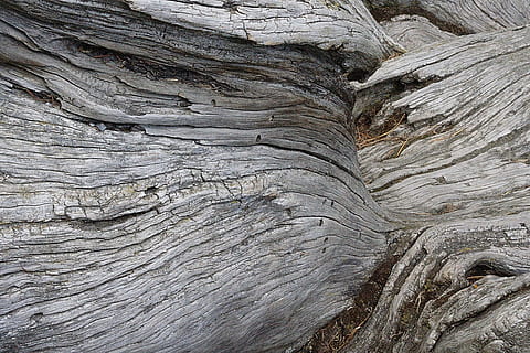 Wurzel, Baum, Korn, Borke, alt, Holz, Natur, Hintergründe, Vollbild, texturiert, Muster, keine Leute, Nahansicht, Rau, Holz - Material, Tag, natürliches Muster, Baumstamm, draußen, braun, abstrakt, solide, Rock - Objekt, Rock, Kofferraum, Holzmaserung, erodiert, Sandstein, 720P, CC0, gemeinfrei, lizenzfrei
