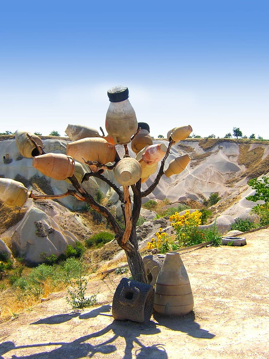 olla, arbre, desert, arbres, elements, sequera, decoratiu, inusual, art, llum solar, naturalesa, dia, cap gent, cel, muntanya, ombra, escenics - natura, planta, terra, cel clar, paisatge, tranquil·litat, bellesa a la natura, escena tranquil·la, escena no urbana, blau, medi ambient, a l'aire lliure, clima àrid, clima, 720P