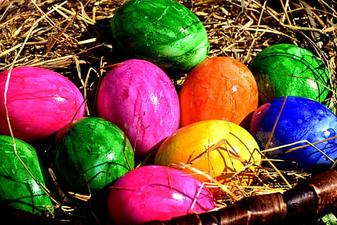 uovo, colorato, Pasqua, uova di Pasqua, nido di Pasqua, buona Pasqua, uova colorate, uova sode, uova di Pasqua tinte, multicolore, cibo, celebrazione, uovo di Pasqua, cibo e bevande, nessuno, avvicinamento, colore verde, vacanza, scelta, vista dall'alto, variazione, natura morta, giorno, mangiare sano, natura, all'aperto, viola, 5K, CC0, dominio pubblico, privo di copyright
