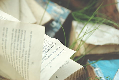 ha aperto, libro, selettivo, fotografia a fuoco, superficiale, Aperto, mille, lettura, persone, comunicazione, avvicinamento, nessuno, foglia, giorno, nota musicale, pubblicazione, carta, formazione scolastica, testo, vista dall'alto, in casa, pagina, natura morta, concentrarsi sulle conoscenze acquisite, messa a fuoco selettiva, letteratura, apprendimento, competenza, 4K, CC0, dominio pubblico, privo di copyright