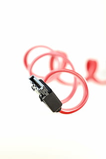 kabel, datamaskin, sata, s-ata, forbindelse, støpsel, pc, maskinvare, edp, databehandling, linje, periphaerie, makro, rød, svart, den, tilbehør, datailaufnahme, teknologi, utstyr, isolert, nærbilde, Datakabel, kommunikasjon, hvit bakgrunn, kopiere plass, enkelt objekt, datanettverk, ingen folk, innendørs, internett, fokusere på forgrunnen, skjære ut, studio skudd, nettverkstilkoblingsplugg, stilleben, trådløs teknologi, elektrisitet, elektrisk komponent, elektrisk utstyr, global kommunikasjon, 4K, CC0, offentlig domene, opphavsrett gratis