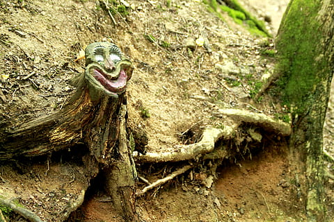 arbre, cara, cara d’arbre, fusta, esperit d’arbre, esperit forestal, místic, fash, divertit, esperit, talla de fusta, monstre de l'arbre, escorça d'arbre, tronc de l'arbre, tronc, animal, planta, dia, temes d'animals, cap gent, material de fusta, naturalesa, fauna animal, animals a la natura, un animal, primer pla, a l'aire lliure, bosc, textura, part del cos dels animals, terra, vertebrats, boca oberta, escorça, cap d’animals, boca d’animals, 4K, CC0, domini públic, lliure de regalies