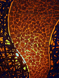 light source, lamp, light, modern, mother of pearl, structure, beauty, background, seashell, shell, decorative, lights, atmosphere, color, background image, orange, yellow, abstract, design, pattern, fractal, energy, art, artwork, enlightened, element, no people, close-up, indoors, art and craft, creativity, night, high angle view, leaf, nature, plant part, architecture, textured, backgrounds, wall, geometric shape, wall - building feature, still life, 4K, CC0, public domain, royalty free