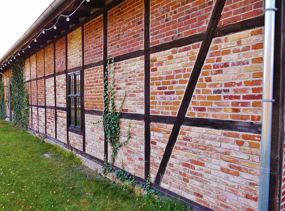 paret de maó, paret, vermell, maó, vell, truss, maons, arquitectura, estructura construïda, exterior de l'edifici, dia, edifici, cap gent, funció de construcció de parets, finestra, herba, casa, planta, naturalesa, a l'aire lliure, patró, seguretat, entrada, porta, 4K