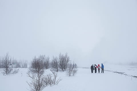 gruppo, quattro, persone, a piedi, la neve, campo, giorno, uomini, parlando, amici, avventura, all'aperto, inverno, albero, pianta, cielo, freddo, tempo metereologico, temperatura fredda, nevicando, natura, sport invernali, grande gruppo di persone, gruppo di persone, persone reali, Colore bianco, retrovisore, attività di svago, scenics - natura, bellezza nella natura, tempo estremo, ambiente, stili di vita, congelato, terra, vestiti caldi, 5K, CC0, dominio pubblico, privo di copyright
