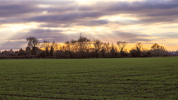 scenic, view, field, clouds, cloudy, cloudy sky, country, countryside, dawn, dusk, grass, grassland, idyllic, landscape, light, nature, rural, scenery, season, sky, sun, sunrays, sunrise, sunset, tranquil, trees, plant, cloud - sky, tree, tranquility, tranquil scene, scenics - nature, beauty in nature, environment, green color, land, no people, growth, non-urban scene, 5K, CC0, public domain, royalty free