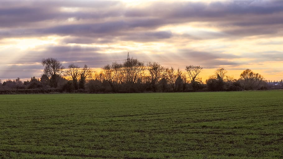 panoramico, vista, campo, nuvole, nuvoloso, cielo nuvoloso, nazione, campagna, crepuscolo, erba, prateria, idilliaco, paesaggio, luce, natura, rurale, scenario, stagione, cielo, sole, i raggi del sole, Alba, tramonto, tranquillo, alberi, pianta, nuvola - cielo, albero, la tranquillità, scena tranquilla, scenics - natura, bellezza nella natura, ambiente, colore verde, terra, nessuno, crescita, scena non urbana, 5K
