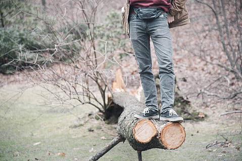 man, wearing, blue, jeans, tree trunk, standing, tree, down, cut, one person, low section, land, nature, lifestyles, leisure activity, day, forest, shoe, adult, outdoors, plant, focus on foreground, casual clothing, real people, women, human leg, human foot, 5K, CC0, public domain, royalty free
