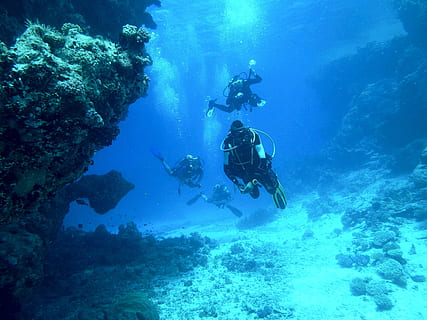 several, divers, corals, daytime, diving, underwater, sea, float, breathing apparatus, scuba divers, underwater world, scuba Diving, underwater Diving, blue, aquatic sport, undersea, sport, water, swimming, exploration, adventure, nature, diving equipment, real people, rock, leisure activity, unrecognizable person, rock - object, group of people, outdoors, diving suit, marine, 4K, CC0, public domain, royalty free