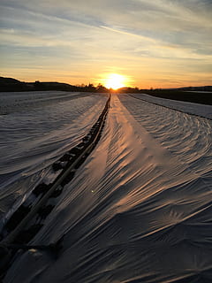 sole, ambientazione, Blache, natura, tramonto, sabbia, paesaggio, all'aperto, cielo, scenics - natura, scena tranquilla, la tranquillità, bellezza nella natura, terra, colore arancione, nuvola - cielo, nessuno, ambiente, scena non urbana, traccia di pneumatico, la neve, idilliaco, campo, prospettiva decrescente, 2K, CC0, dominio pubblico, privo di copyright