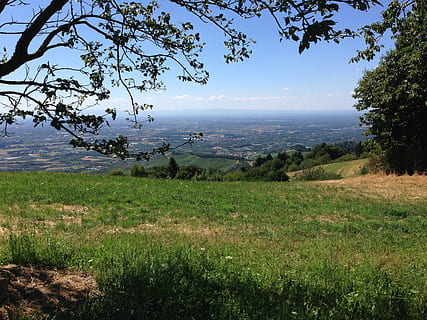 vista, foresta Nera, paesaggio, vista distante, pianta, albero, acqua, bellezza nella natura, scenics - natura, erba, la tranquillità, terra, scena tranquilla, natura, cielo, crescita, colore verde, nessuno, ambiente, mare, giorno, campo, all'aperto, 2K, CC0, dominio pubblico, privo di copyright