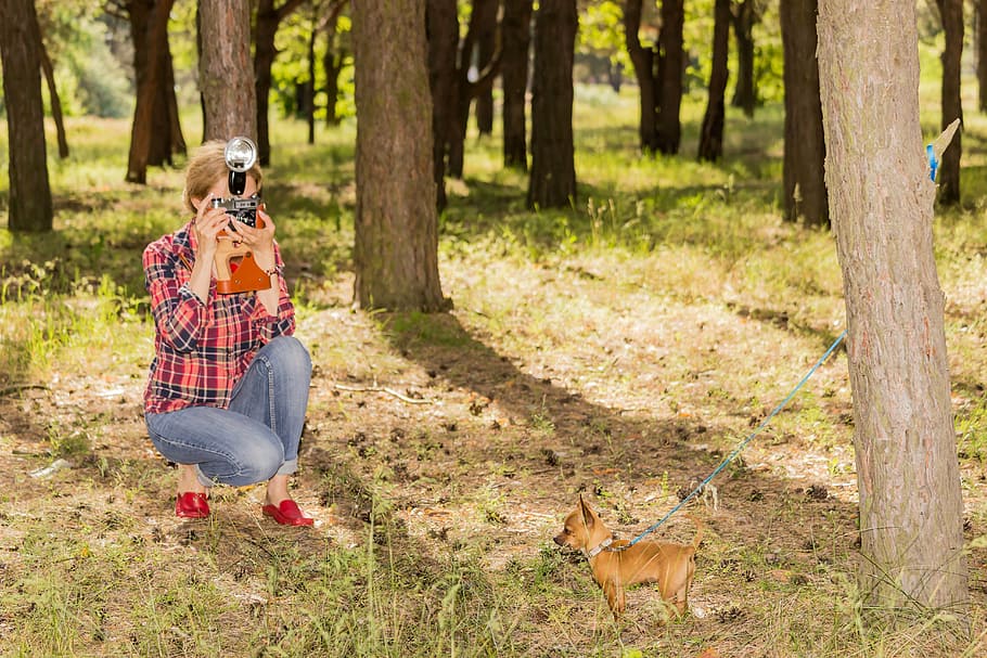 bosc, lena moskovchenko, model, tardor, a l'aire lliure, naturalesa, parc - l'home va fer espai, animal, mascotes, arbre, gent, full, mamífer, terra, planta, un animal, longitud completa, animals domèstics, vertebrats, camp, nacional, dia, vista del darrere, herba, 5K