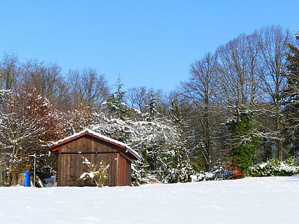 vinter, sne, vinterlige, kold, vinter træer, træer, natur, vinterforkølelse, snedækket, hytte, kold temperatur, træ, plante, himmel, bygget struktur, arkitektur, jord, Mark, ro, skønhed i naturen, skyfri himmel, dag, rolig scene, ingen mennesker, bygning udvendig, scenics - natur, udendørs, sommerhus, kabine, 4K, CC0, offentligt domæne, royaltyfrie