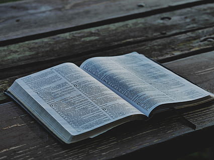 obert, blanc, llibre, marró, fusta, taules, superfície, llegir, text, pàgines, taula, marcador, lectura, Escriptura, textura, bíblia, publicació, religió, espiritualitat, creença, vista d’angle alt, natura morta, material de fusta, educació, lloc de culte, a l'interior, pàgina, cap gent, comunicació, literatura, equip religiós, 4K, CC0, domini públic, lliure de regalies