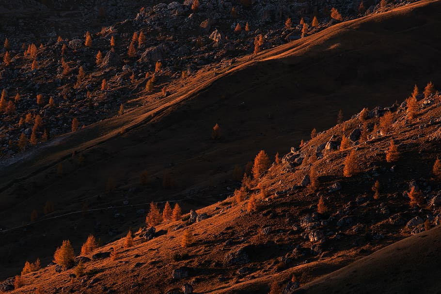 aèria, fotografia, arbres, pendent del turó, cases, presentada, muntanya, arbre, bosc, paisatge, turó, vessant, autunno, alberi, montagna, dolomiti, dolomita, detall, llum, senderisme, naturalesa, terra, rock - object, cap gent, medi ambient, rock, escenics - natura, bellesa a la natura, sòlid, escena no urbana, tranquil·litat, geologia, formació de roca, escena tranquil·la, a l'aire lliure, cel, destinacions de viatge, nit, erosionat, 4K