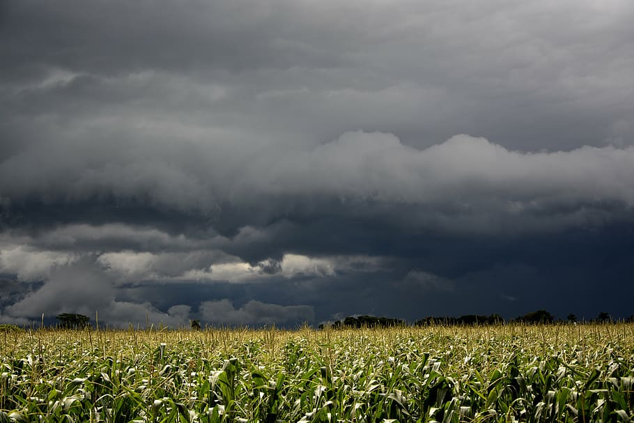 Sturm, Regenwolken, Wolken, Sol, fliegend, Wolke, Sonnenschein, Himmel, wunderschönen, Wolken in der Sonne, wolke - himmel, Sturmwolke, Umgebung, Schönheit in der Natur, Land, Gewitter, Feld, Landschaft, Landwirtschaft, Pflanze, Ernte, keine Leute, Szenen - Natur, Natur, Dramatischer Himmel, ländliche Szene, bedeckt, Regen, bedrohlich, draußen, dunkel, sintflutartiger Regen, Kraft in der Natur, Meteorologie, 5K