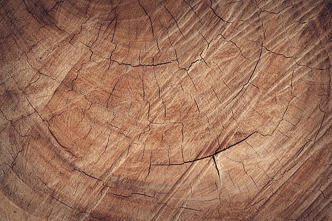 schließen, Foto, braun, Wand, abstrakt, Antiquität, Hintergrund, Tafel, Gebäude, Zimmerei, Nahansicht, Farbe, dunkel, Dekor, Dekoration, dekorativ, Design, getrocknet, Fußboden, Korn, grunge, Hartholz, Zuhause, Innere, Holz, Makro, Material, natürlich, Natur, Eiche, alt, texturiert, Hintergründe, Muster, Vollbild, Rau, geknackt, keine Leute, Baumring, Holz - Material, Borke, Baumstumpf, Baum, Tag, Holzmaserung, natürliches Muster, Bodenbelag, Struktureffekt, 4K, CC0, gemeinfrei, lizenzfrei
