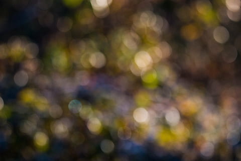 Bokeh, Hintergrund, Kreis, Licht, Textur, Lichtkreise, Unscharf gestellt, Hintergründe, abstrakt, glänzend, Muster, Natur, beleuchtet, mehrfarbig, keine Leute, Licht - natürliches Phänomen, Bewegungsunschärfe, glühend, Lichtanlage, lebendige Farbe, abstrakte Hintergründe, Vollbild, beschmutzt, Ruhe, gestalten, Feier, draußen, hell, hell erleuchtet, lila, Struktureffekt, gesättigte Farbe, 5K, CC0, gemeinfrei, lizenzfrei