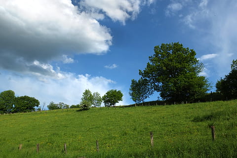 paisatge, núvols, arbres, estiu, cel, prat, verd, herba, naturalesa, stindermuehle, erkrath prop de düsseldorf, Alemanya, arbre, camp, planta, núvol - cel, color verd, bellesa a la natura, escena tranquil·la, terra, tranquil·litat, medi ambient, escenics - natura, cap gent, creixement, escena no urbana, dia, a l'aire lliure, 4K, CC0, domini públic, lliure de regalies