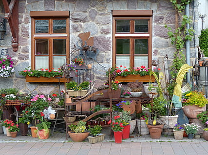 vindue, blomster, lukker, hjem, facade, udendørs, blomst, vindueskarm, hauswand, bygning, flora, blomsterkasse, blomsterkrukke, hus, Europa, arkitektur, plante, potteplante, bygning udvendig, blomstrende plante, bygget struktur, vækst, dag, natur, ingen mennesker, boligområde, dør, indgang, dekoration, detailvisning, havearbejde, vindues boks, 4K, CC0, offentligt domæne, royaltyfrie