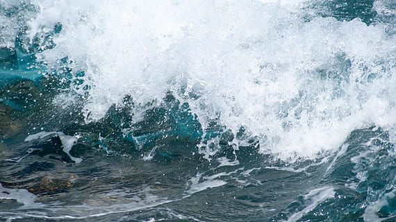 Welle, die Wellen, Wellen, Meer, Wasser, Wasser spucken, Natur, Meerschaum, Blau, Lärm, Bewegung, keine Leute, Tier, plantschen, ein Tier, Sport, Tierthemen, Schönheit in der Natur, draußen, Säugetier, Tag, Tierwelt, Wassersport, Tiere in freier Wildbahn, Kraft in der Natur, Marine, brechen, 4K, CC0, gemeinfrei, lizenzfrei