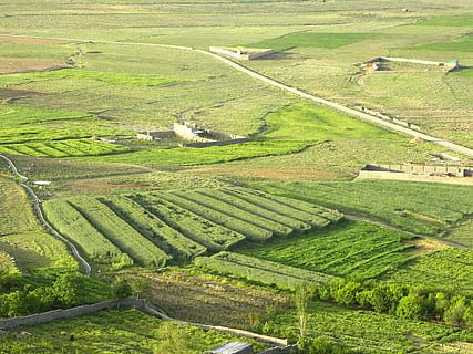 landscape, nature, outside, fields, trees, plants, crops, agriculture, farm, road, colorful, green, summer, spring, buildings, vista, country, countryside, rural Scene, europe, hill, field, italy, landscaped, land, scenics, environment, tranquil scene, green color, plant, growth, scenics - nature, tranquility, beauty in nature, high angle view, no people, day, crop, idyllic, outdoors, plantation, 4K, CC0, public domain, royalty free
